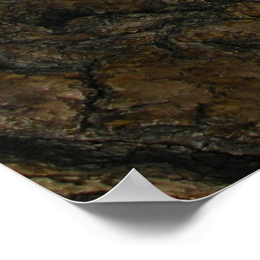 Angels Landing Poster (Hoek)