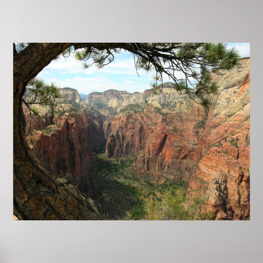 Angels Landing Poster (Voorkant)