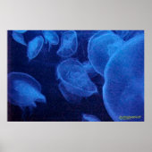 Angels of Light Poster (Voorkant)