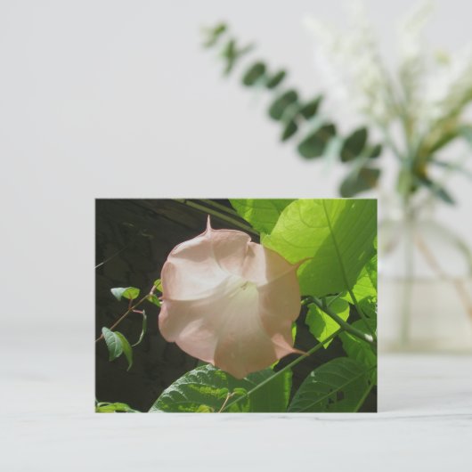 Angel's Trumpet Briefkaart (Staand voorkant)