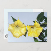 Angels Trumpet Brugmansia Briefkaart (Voorkant / Achterkant)