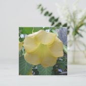 Angels Trumpet Golden Yellow Flower Kaart (Staand voorkant)