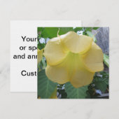 Angels Trumpet Golden Yellow Flower Kaart (Voorkant / Achterkant)