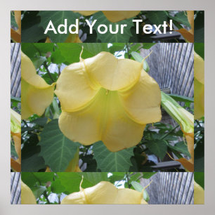 Angels Trumpet Golden Yellow Flower Poster