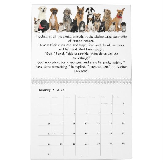 Angels van Fur Calendar 12m 6/11-5/12 Kalender (Jan 2027)