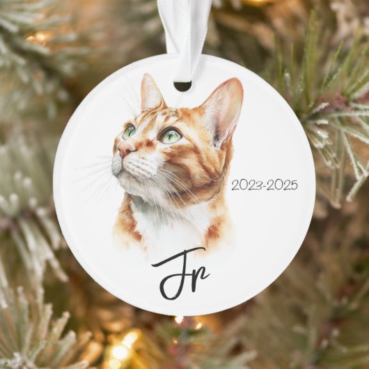 Angels With Tails – Pet Memorial Keepsake Ornament (Boom)