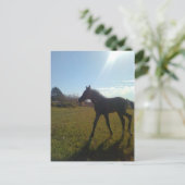 AngelsPhlyby Nite Briefkaart (Staand voorkant)