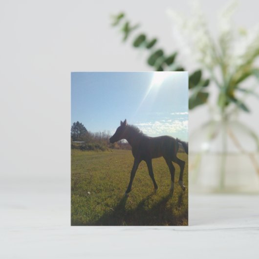 AngelsPhlyby Nite Briefkaart (Staand voorkant)