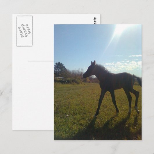 AngelsPhlyby Nite Briefkaart (Voorkant / Achterkant)