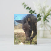 AngelsPhlyby Nite Briefkaart (Staand voorkant)