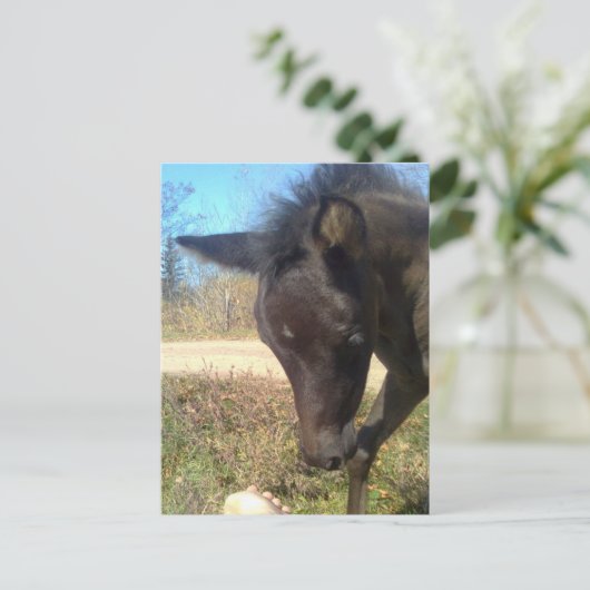 AngelsPhlyby Nite Briefkaart (Staand voorkant)