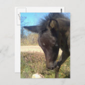 AngelsPhlyby Nite Briefkaart (Voorkant / Achterkant)