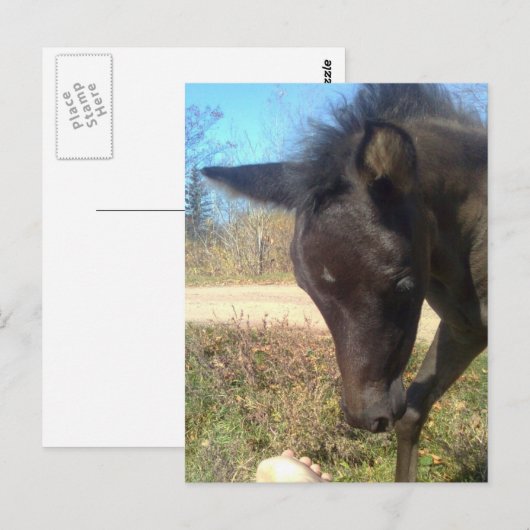 AngelsPhlyby Nite Briefkaart (Voorkant / Achterkant)