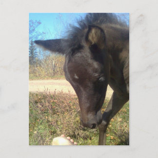 AngelsPhlyby Nite Briefkaart