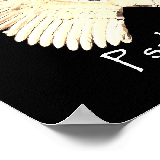 angelwings poster (Hoek)