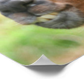 Anger Happiness Citaat Llama Inspirerend Poster (Hoek)