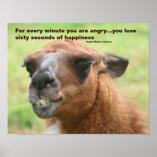 Anger Happiness Citaat Llama Inspirerend Poster