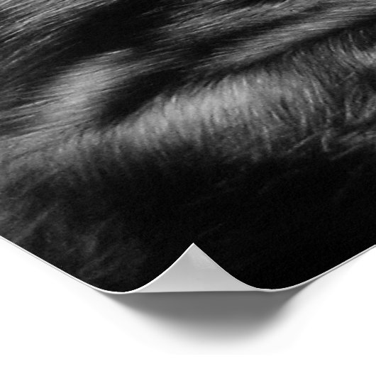 ANGER Poster 39,9 x 27,4 inch (Hoek)