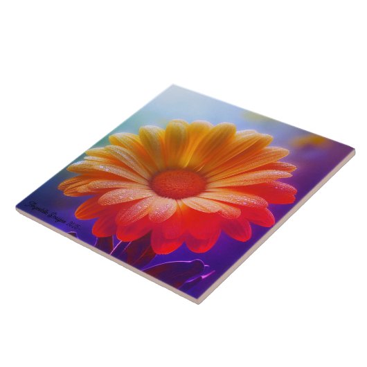 Angestelle Decoratieve Twee Tone Daisy Tegeltje (Zijkant)