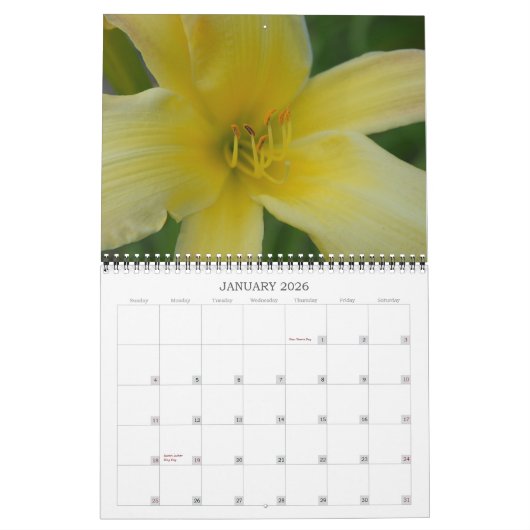Angie's Lilies Kalender (Jan 2026)