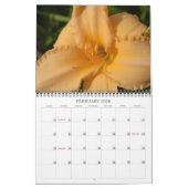 Angie's Lilies Kalender (Feb 2026)