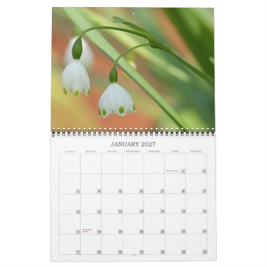 Angie's tuin 2008 Agenda Kalender (Jan 2027)