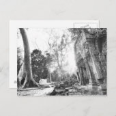 Angkor Cambodia, Details Ta Prohm Briefkaart (Voorkant / Achterkant)