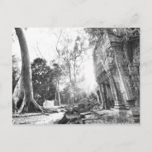 Angkor Cambodia, Details Ta Prohm Briefkaart