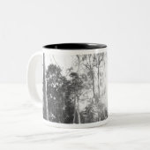 Angkor Cambodia, Details Ta Prohm Tweekleurige Koffiemok (Voorkant links)