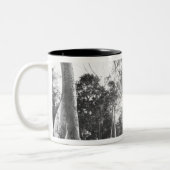 Angkor Cambodia, Details Ta Prohm Tweekleurige Koffiemok (Links)