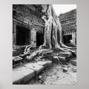 Angkor Cambodia, Ta Prohm-boom Poster