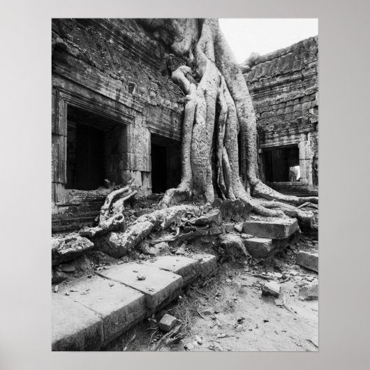 Angkor Cambodia, Ta Prohm-boom Poster (Voorkant)