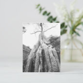 Angkor Cambodia, Tree Ta Prohm Briefkaart (Staand voorkant)