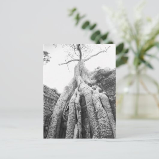 Angkor Cambodia, Tree Ta Prohm Briefkaart (Staand voorkant)