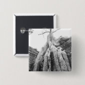 Angkor Cambodia, Tree Ta Prohm Vierkante Button 5,1 Cm (Voorkant /achterkant)