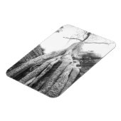 Angkor Cambodja, Boom Ta Prohm Magneet (Linkerzijde)