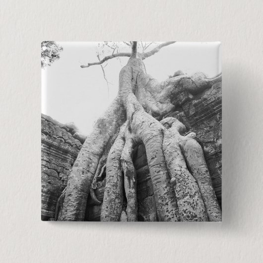 Angkor Cambodja, Boom Ta Prohm Vierkante Button 5,1 Cm (Voorkant)