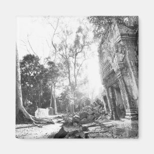 Angkor Cambodja, Details Ta Prohm Magneet