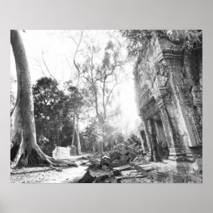 Angkor Cambodja, Details Ta Prohm Poster