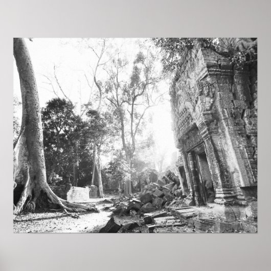 Angkor Cambodja, Details Ta Prohm Poster (Voorkant)