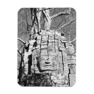 Angkor Cambodja, Hoofd Ta Som Tempel Magneet