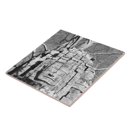 Angkor Cambodja, hoofd van Ta Som Temple Tegeltje (Zijkant)