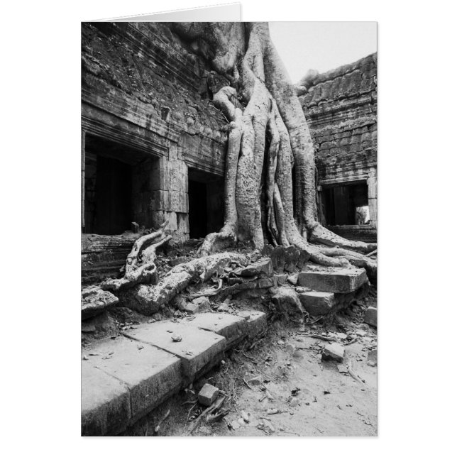 Angkor Cambodja, Ta Prohm Boom (Voorkant)