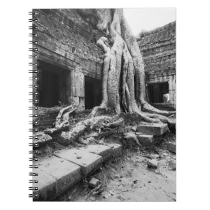 Angkor Cambodja, Ta Prohm Boom Notitieboek