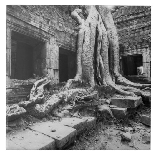 Angkor Cambodja, Ta Prohm Boom Tegeltje (Voorkant)