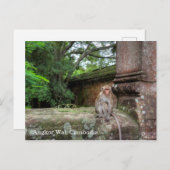 Angkor Wat Cambodia Briefkaart (Voorkant / Achterkant)