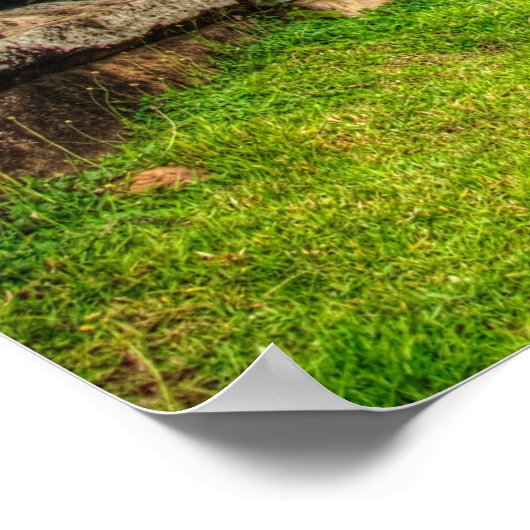 Angkor Wat Cambodia Poster (Hoek)