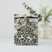 Angkor Wat, Cambodja Briefkaart (Staand voorkant)