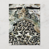 Angkor Wat, Cambodja Briefkaart (Voorkant)