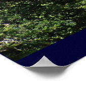 Angkor Wat Poster (Hoek)